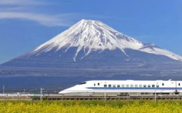 日本韩高清无专砖区2022,潮流趋势与市场洞察