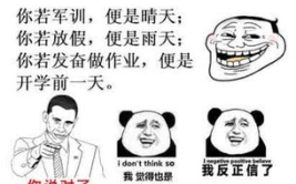 搞笑图片高清大图,高清大图里的欢乐时光