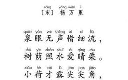 猜字谜打一字一年级,汉字奥秘大揭秘”