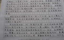 中秋节的作文300字优秀作文,中秋节的温馨记忆