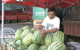 天天吃瓜网,天天吃瓜网带你领略明星幕后故事