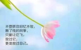 致自己的精辟短句,照亮前行之路