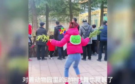 小姐姐和动物们跳舞视频,小姐姐与动物共舞，欢乐时光尽展和谐之美