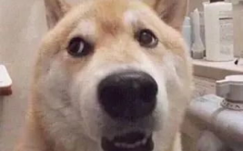 一句话气死小人,如何从气死小人的故事中反思自我成长