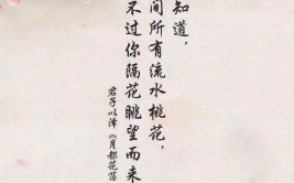 名句摘抄唯美短句,唯美短句中的心灵之旅
