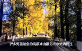 娱乐吃瓜君的作品,吃瓜后妈的甜宠搞笑日常