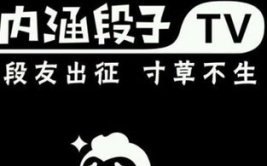 内涵段子为什么被封杀,原因揭秘与影响分析