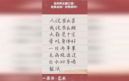 经典顺口溜,经典顺口溜中的智慧与幽默