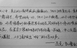 优美句子摘抄大全100句,优美句子摘抄精选