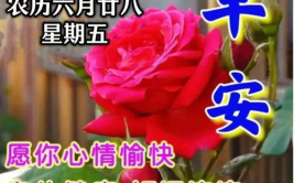 早上打一字是什么字,揭秘“早上打一字”的谜底