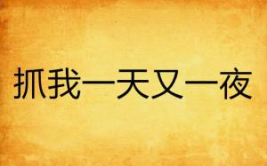 一夜又一夜 (打一汉字),夜夜相思情