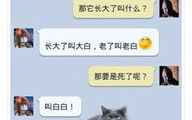 逗人开心的笑话段子,精选逗乐段子，让你瞬间忘忧
